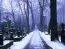 Lone figure walking along snow-covered road in Powazki Cemetery.