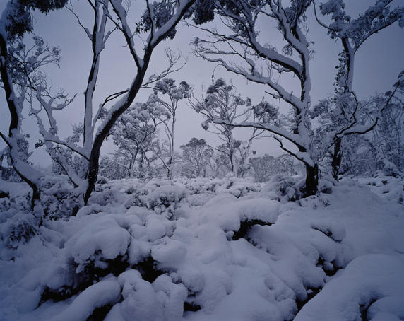 Landscape around Jewels of Solomon after snowstorm.