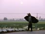 Farmer herding ducks along Hanoi-Haiphong Highway at sunset.