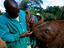Image_22075-68