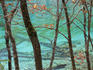 Trees by colourful calcium ponds, Nine Village Valley (Jiuzhaigou).