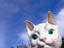 Great Cat of Kuching, Malaysia