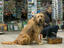 Image_22124-18