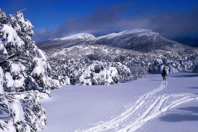 Cross country (Nordic) skier on Mt Lovick, with peak called Bluff in left background.
