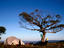 Summit of Mt Speculation, Australia