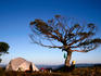Bushwalker and tent on summit of Mt Speculation .