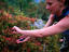 Image_22154-3
