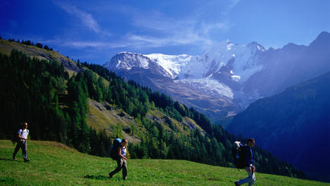 Image_22155-25