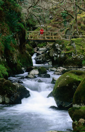 Bridge over mountain stream with oak woodlands.