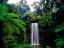 Atherton Tablelands, Far North Queensland