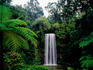 Millaa Millaa Falls on Atherton Tablelands.