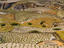 Vineyards, Santorini