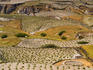 Vineyards near Prygos.