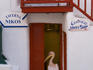 Pelican standing in the doorway of a barber shop.