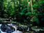 Terania Creek, New South Wales