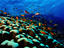 Image_2220-49