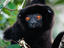 Image_22205-25