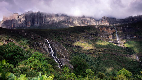 Image_22205-50