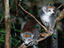 Image_22205-72