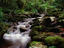 Image_22206-17