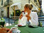 Image_22216-5
