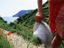 Pathway near coast, Cinque Terre