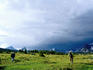 Hikers walking across grassy field in Tonquin Valley.