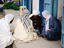 conversation, Tunisia