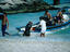 Once a simple fishing village, Playa del Carmen is now a popular destination for people after sun,fun,diving and snorkelling
