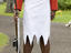 Fijian guard, Suva