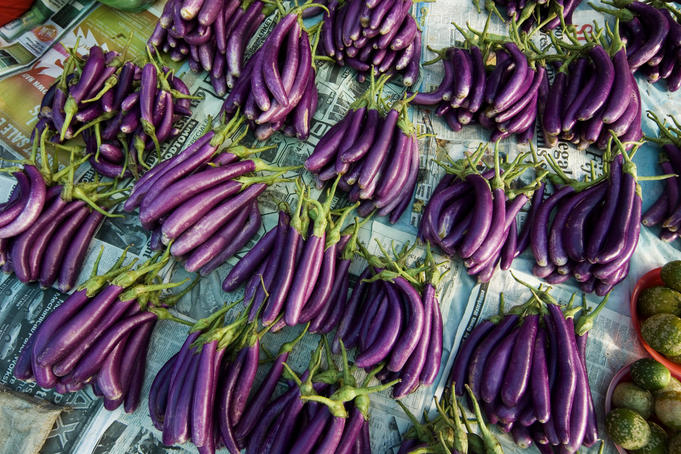 Purple eggplant.