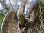Image_22252-20