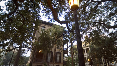 Image_22252-43