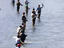 Salmon run, Anchorage