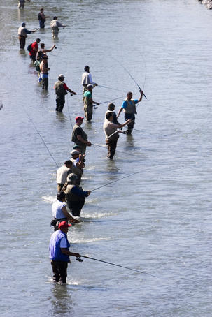 Fishermen line Ship Creek during salmon run.