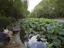 Lu Xun Park, Shànghai