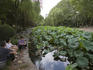 Relaxing beside Lotus pond, Lu Xun Park, Hongqiao.