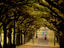 Fawkner Park, South Yarra, Australia