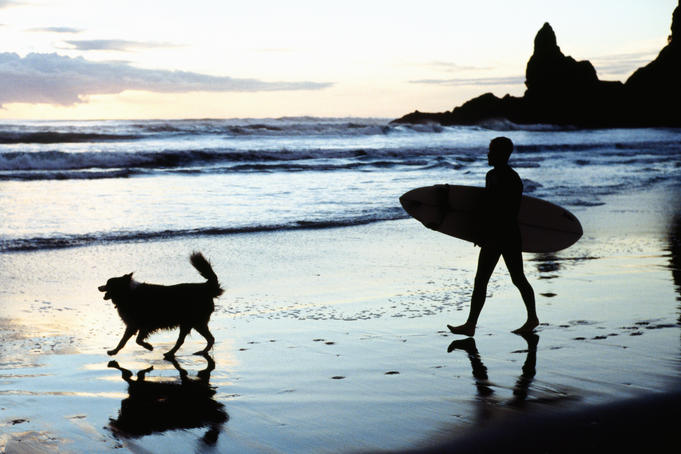 Surfer with his dog on Piha Beach.