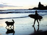 Surfer with his dog on Piha Beach.