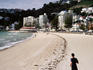 High-rises lining beach at Oriental Bay.