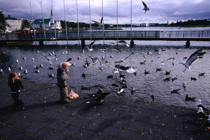 Children feeding birds at Tjorn.