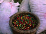 Harvested coffee beans in bags.