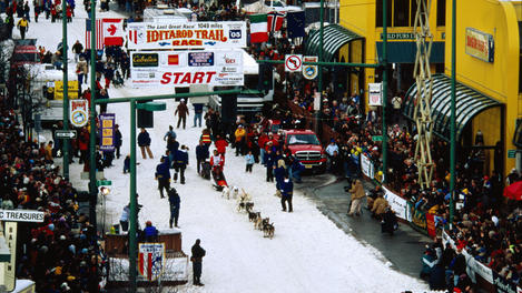 Overhead of start of Iditarod Sled Dog Race.