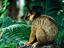 Image_22318-6