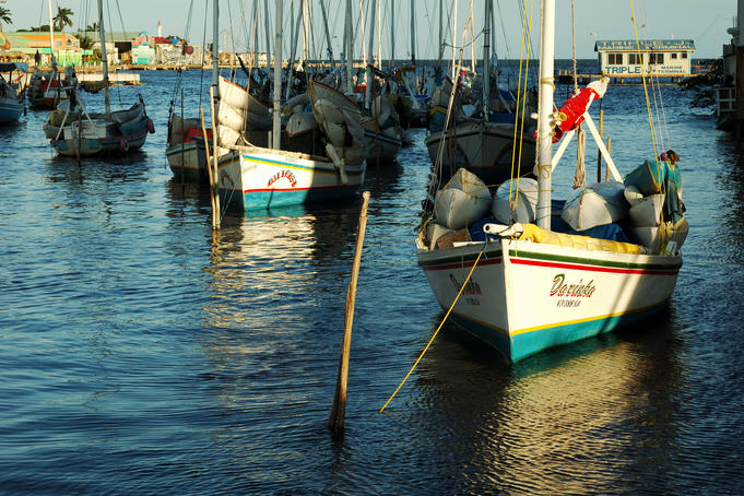 Boats bobbing on Haulover Creek with Triple J ferry terminal and the Fort George Lighthouse in background.