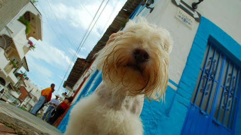 Image_22331-4
