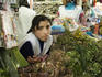 Herb vendor in Mercado Central.