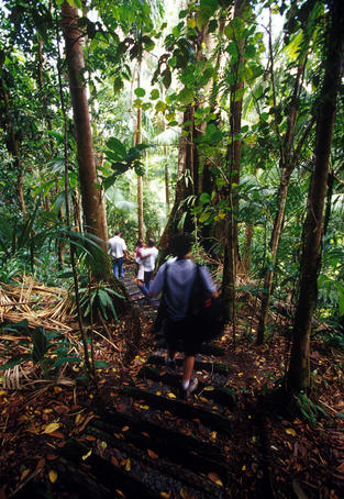 Stepping out: the world's best long walks