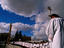 Image_22386-3